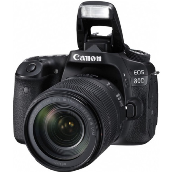 Canon 80D 18-135mm lens - Picture 6 of 14